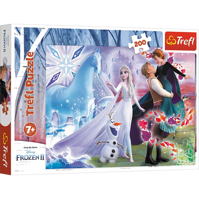 Dėlionė – 200 detalių – Seserų magiškas pasaulis – Disney Frozen Trefl 13265