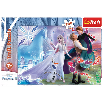 Dėlionė – 200 detalių – Seserų magiškas pasaulis – Disney Frozen Trefl 13265