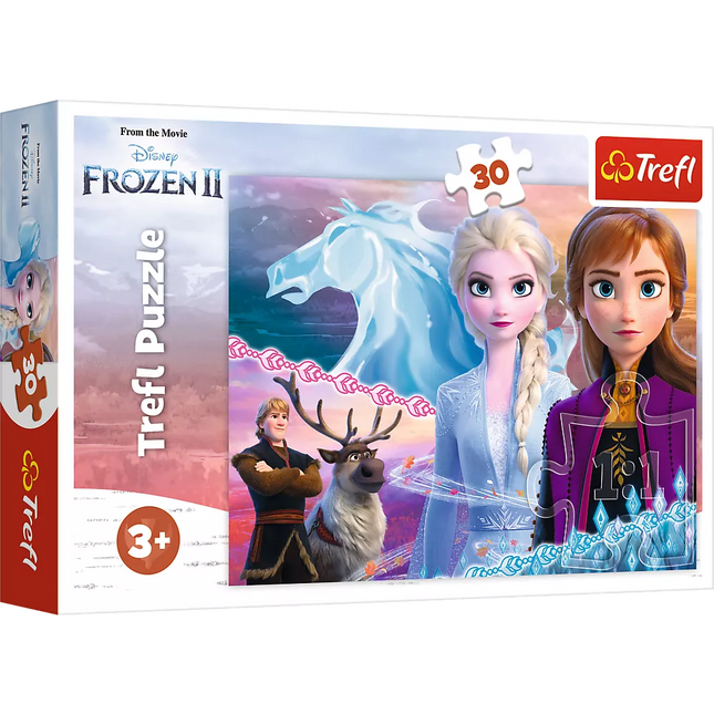 Dėlionė - 30 - Seserų drąsa - Disney Frozen 2 18253