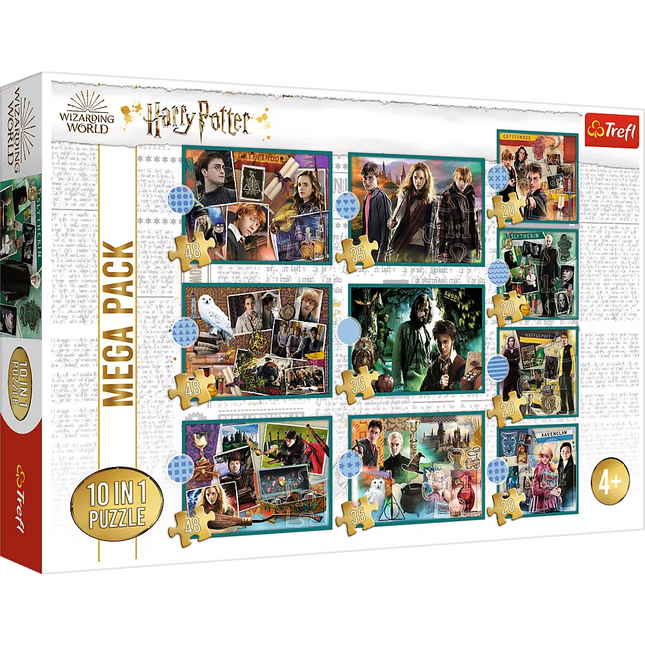 Dėlionė 10in1 Harry Potter Harry Potterio pasaulyje 90392