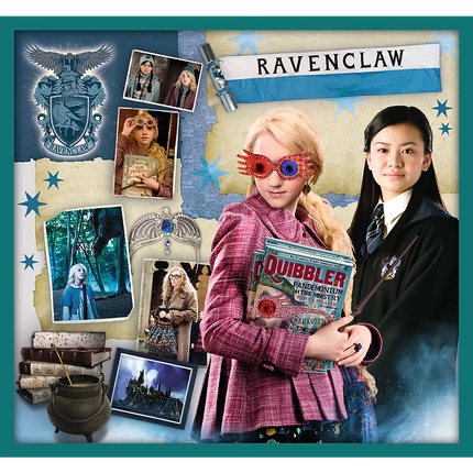 Dėlionė 10in1 Harry Potter Harry Potterio pasaulyje 90392