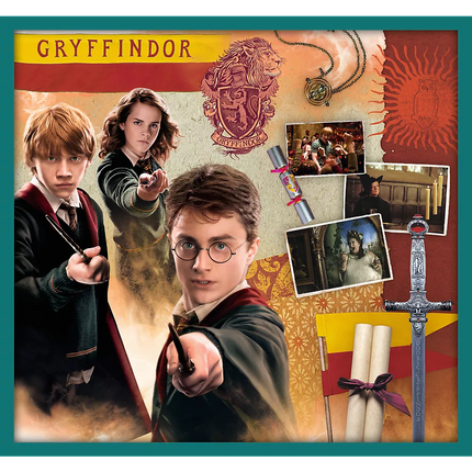 Dėlionė 10in1 Harry Potter Harry Potterio pasaulyje 90392