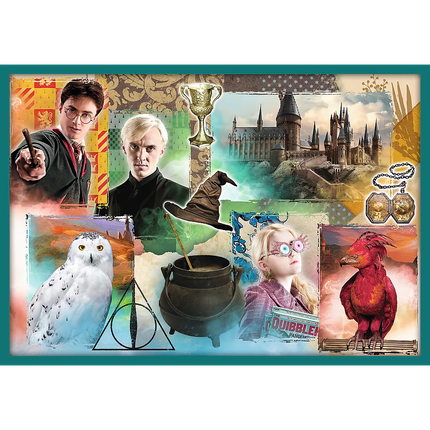 Dėlionė 10in1 Harry Potter Harry Potterio pasaulyje 90392