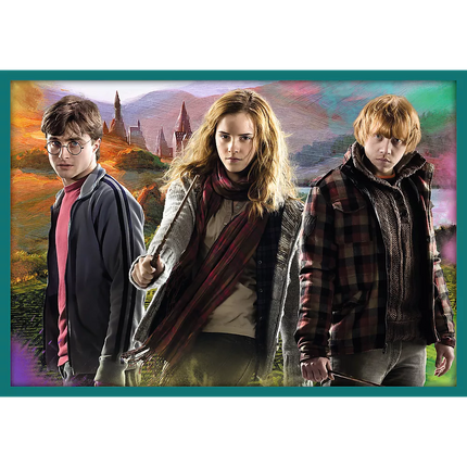 Dėlionė 10in1 Harry Potter Harry Potterio pasaulyje 90392