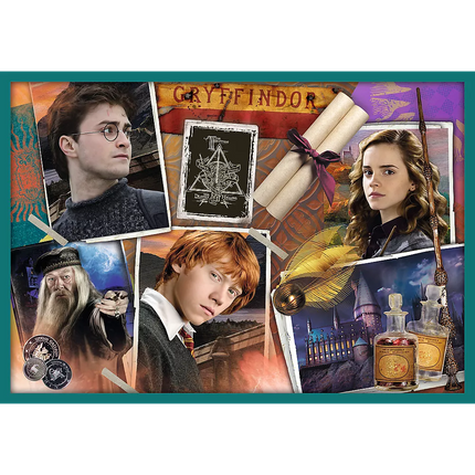 Dėlionė 10in1 Harry Potter Harry Potterio pasaulyje 90392
