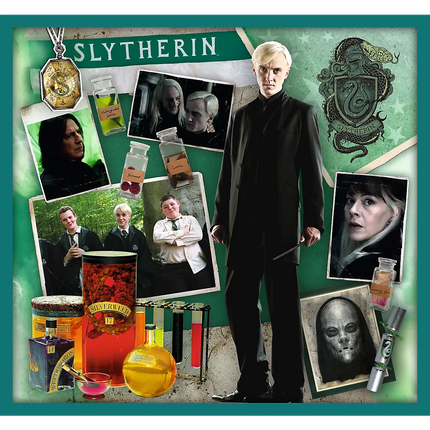 Dėlionė 10in1 Harry Potter Harry Potterio pasaulyje 90392