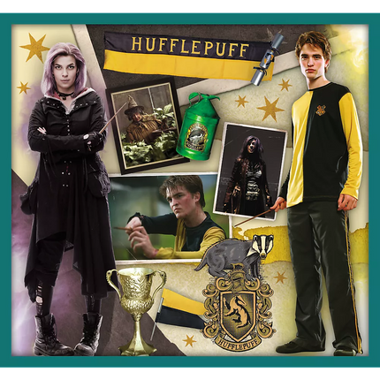 Dėlionė 10in1 Harry Potter Harry Potterio pasaulyje 90392