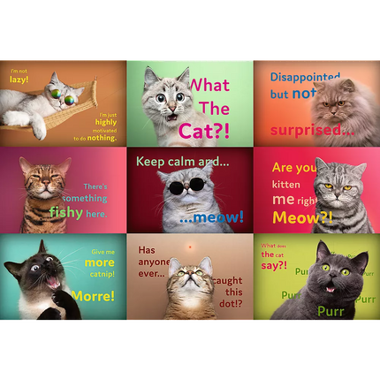 Trefl 26212 Juokingi Kačių Portretai 1500 Detalių Dėlionė