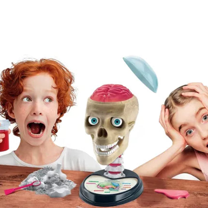 Mokslas linksmas Pašėlęs anatomijos rinkinys Lenkų kalba CLEMENTONI 50697