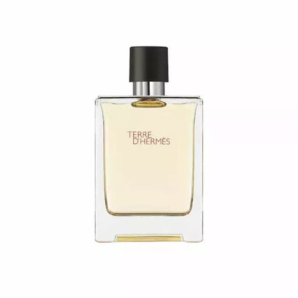 Hermes Terre D'Hermes Eau De Toilette Purškiklis 100ml