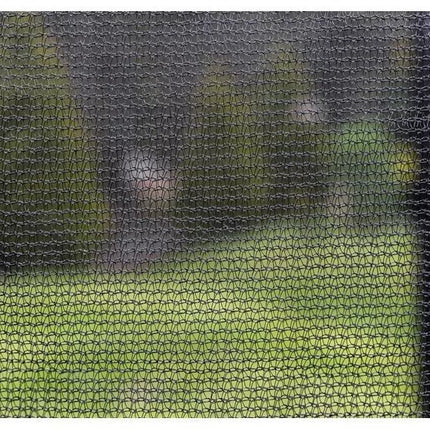 Trampolinas LEAN SPORT PRO 10 pėdų