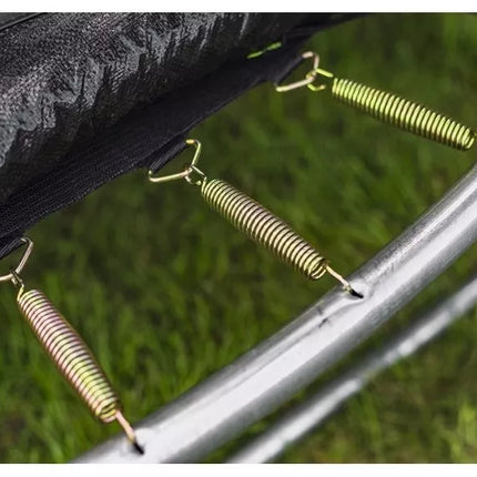 Trampolinas LEAN SPORT PRO 10 pėdų