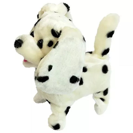 Pavadas vedžiotis su pavadėliu „Controlled Pilot Bone“