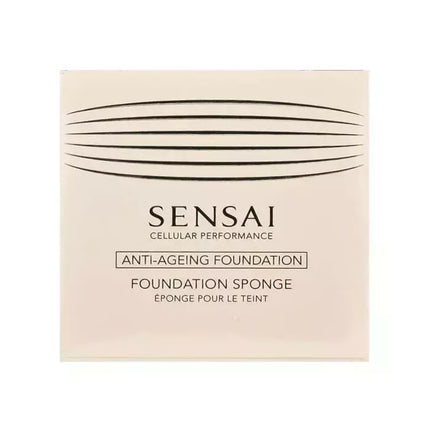 Sensai pagrindo kempinėlė