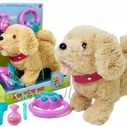 Pliušinis šuo su pavadėliu, maitinamas baterijomis, smėlio spalvos priedai