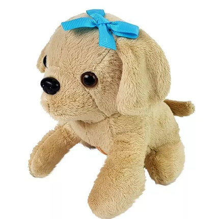 Veterinarinis rinkinys su šunimi ir transporteriu