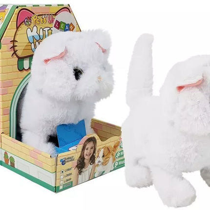 Baltas Persijos katinas vaikšto vizgindamas uodegą su baterijomis