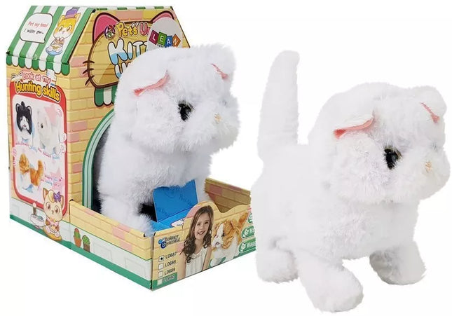 Baltas Persijos katinas vaikšto vizgindamas uodegą su baterijomis