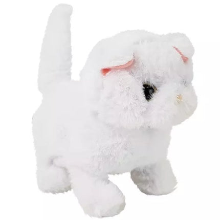 Baltas Persijos katinas vaikšto vizgindamas uodegą su baterijomis