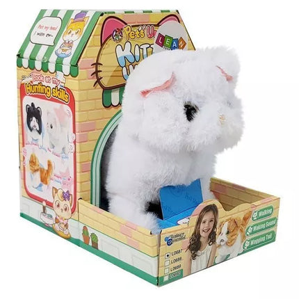 Baltas Persijos katinas vaikšto vizgindamas uodegą su baterijomis