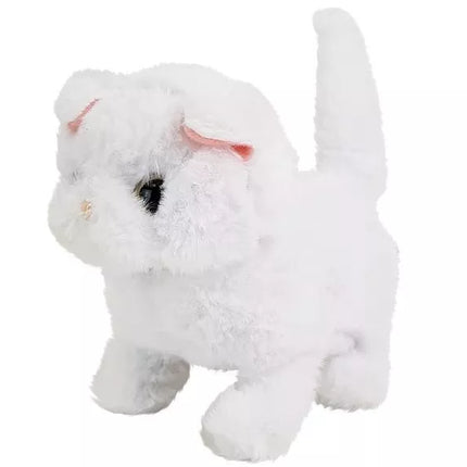 Baltas Persijos katinas vaikšto vizgindamas uodegą su baterijomis