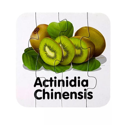 Edukacinis dėlionės žaidimas "Vaisiai", 10 detalių