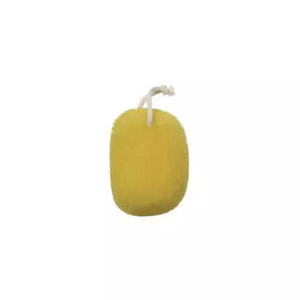 Beter jūros kempinės imitacija