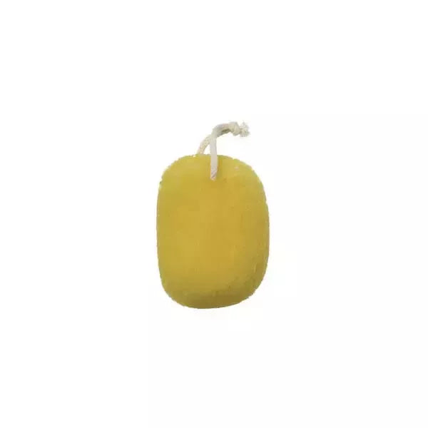 Beter jūros kempinės imitacija