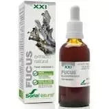 Soria Fucus S XXI ekstraktas 50ml