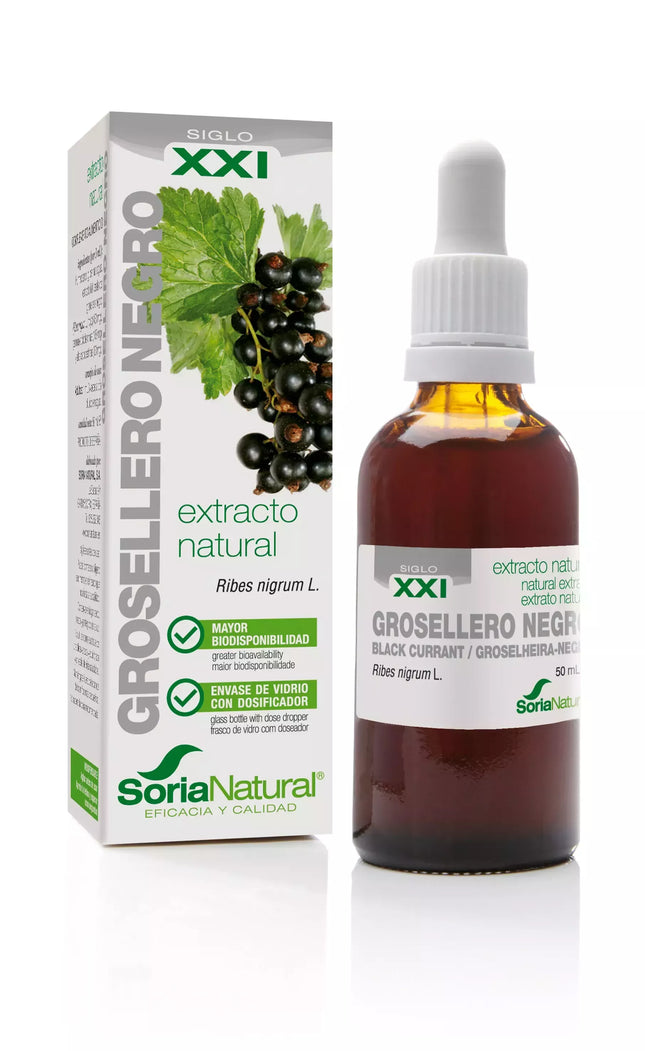 Soria Juodųjų serbentų ekstraktas XXI 50ml