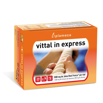 Plameca Vittal In Express
