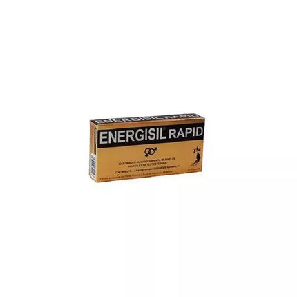 ENERGISIL Rapid 30 Kapsulės