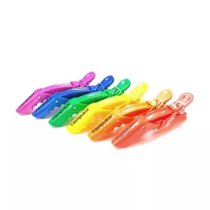 Termix Professional Pride plaukų segtukai 6 vnt.