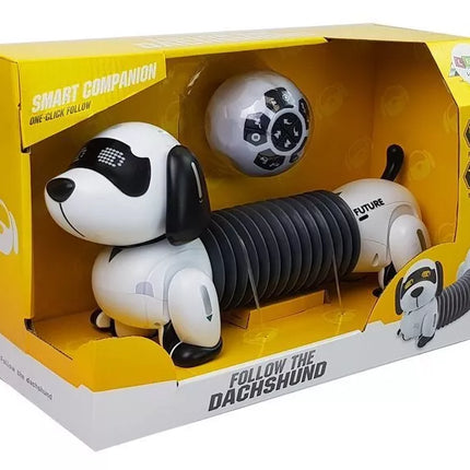 Interaktyvus robotas šuo su nuotolinio valdymo pultu, muzika ir garsu, valdomas nuotolinio valdymo kamuoliuku