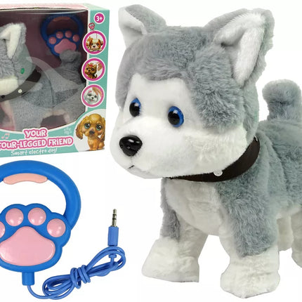 Pliušinis šuo, interaktyvus edukacinis pavadėlis, dainos, pasivaikščiojimai