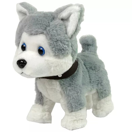 Pliušinis šuo, interaktyvus edukacinis pavadėlis, dainos, pasivaikščiojimai