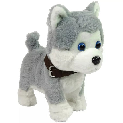 Pliušinis šuo, interaktyvus edukacinis pavadėlis, dainos, pasivaikščiojimai