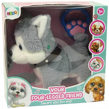 Pliušinis šuo, interaktyvus edukacinis pavadėlis, dainos, pasivaikščiojimai