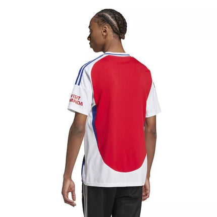 adidas Arsenal London namų marškinėliai IT6141