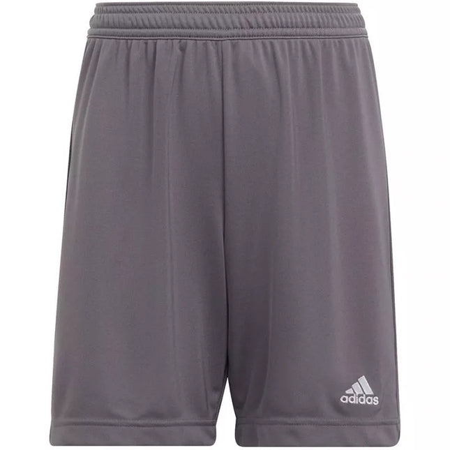 Adidas Entrada 22 Jr H57507 šortai