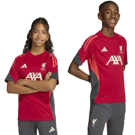 adidas Liverpool FC treniruočių marškinėliai jaunimui KB1468