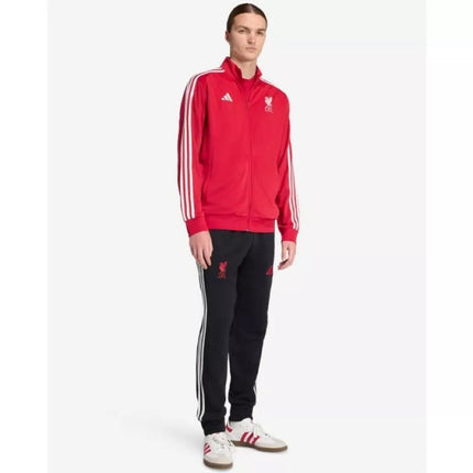 adidas Liverpool LFC DNA bliuzonas JW7892