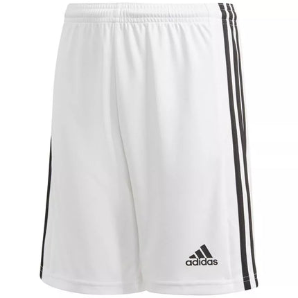 Adidas Squadra 21 šortai jaunimo Jr GN5766