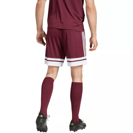 adidas Squadra 25 M JC8677 šortai