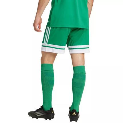 adidas Squadra 25 M JN7482 šortai
