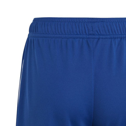 adidas Tiro 23 League Šortai Jaunimui IB8094