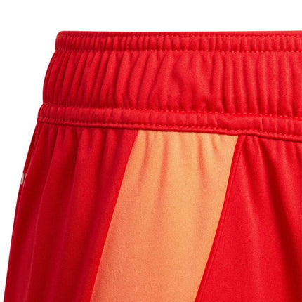 adidas Tiro 24 Jr IT2422 šortai