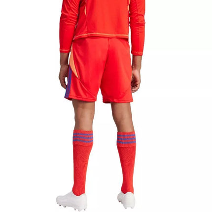 adidas Tiro 24 vyriškos kelnės IT2416
