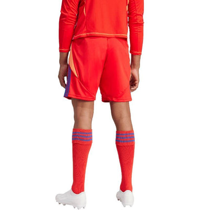 adidas Tiro 24 vyriškos kelnės IT2416