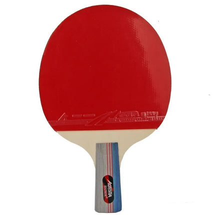 AURORA SG6166 stalo teniso rinkinys